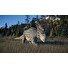 ESD Jurassic World Evolution 2 Deluxe Edition