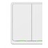 Tesla Smart Switch Dual Battery