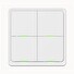 Tesla Smart Switch Quatro Battery