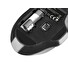 Natec optická myš BLACKBIRD 2/1600 DPI/Kancelářská/Optická/1 600 DPI/Bezdrátová USB/Černá
