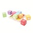 Kostky Bigjigs Toys Baby dřevěné s obrázky