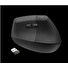 Logitech Wireless Mouse Lift for Business, graphite / black