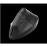 Logitech Wireless Mouse Lift for Business, graphite / black
