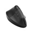 Logitech Wireless Mouse Lift for Business Left, graphite / black
