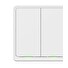 Tesla Smart Switch Dual ZigBee