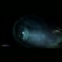 ESD Narcosis