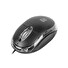 Natec optická myš VIREO 2/1000 DPI/Kancelářská/Optická/1 000 DPI/Drátová USB/Černá