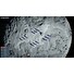 ESD EarthX