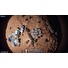 ESD EarthX