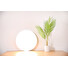 Xiaomi Mi Smart LED Ceiling Light (350mm)