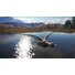 ESD theHunter Call of the Wild Duck and Cover Pack