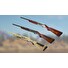 ESD theHunter Call of the Wild Duck and Cover Pack
