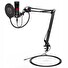 Endorfy mikrofon Streaming / streamovací / rameno / pop-up filtr / USB-A