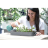 Sadbovač Prosperplast RESPANA TABLE GREENHOUSE šedý kámen 39,1 cm