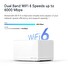 Halo H90X(3-pack) 6000Mbps Home Mesh Wifi6 system