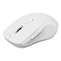 C-TECH WLM-12WH/Ergonomická/Optická/Pro praváky/1 600 DPI/USB+BT/Bílá