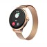 CARNEO Hero mini HR+/Rose Gold/Elegant Band/Rose Gold
