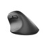 Natec CRAKE 2/Kancelářská/Optická/Pro praváky/2 400 DPI/USB+BT/Černá
