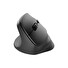 Natec CRAKE 2/Kancelářská/Optická/Pro leváky/2 400 DPI/USB+BT/Černá