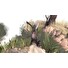 ESD Paperbark