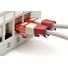 DIGITUS Color spony pro Patch kabel, balíček 100ks, červená