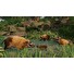 ESD Planet Zoo Tropical Pack