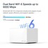 TP-Link WiFi router Mercusys Halo H90X(2-pack) WiFi 6, AX6000, 1x 2,5GLAN, 2x GLAN