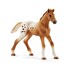 Set Schleich appalosští koně a tréninkové příslušenství