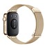 Huawei Watch Fit 3/Gold/Elegant Band/Gold