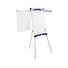 Flipchart NOBO SHARK