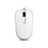 GENIUS DX-120/Kancelářská/Optická/1 200 DPI/Drátová USB/Bílá
