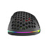 Genesis herní optická myš XENON 800/RGB/16000 DPI/Herní/Optická/Pro praváky/Drátová USB/Černá