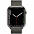 Apple Watch Series 7 Cell, 45mm Graph./Steel/Graph. Mil.Loop